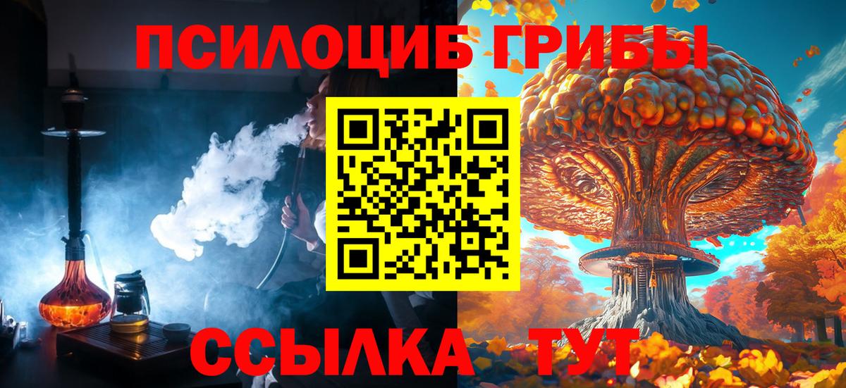 Псилоцибиновые грибы Magic Shrooms  Вход с VPN  цена наркотик  Чистополь 